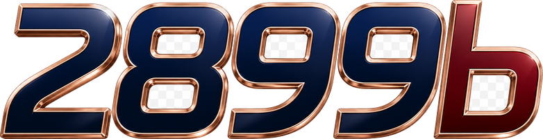 2899b Logo